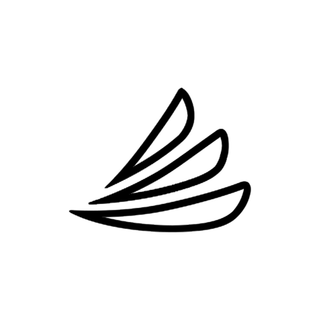 Care-Credit icon